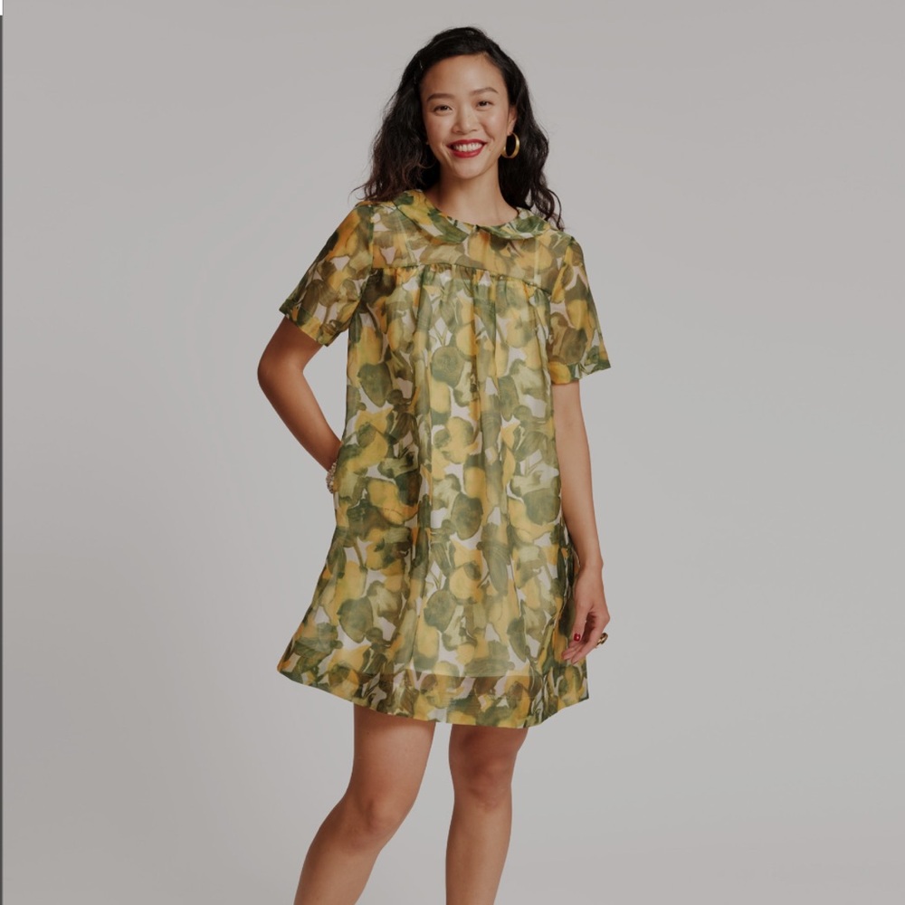 Frances Valentine Darla babydoll dress pear blossom size small- never worn
